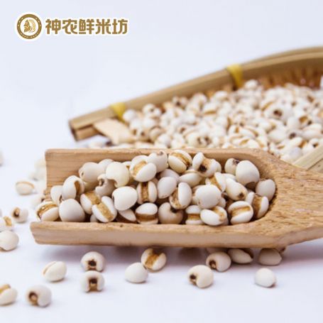 神农鲜米坊有机薏仁米300g