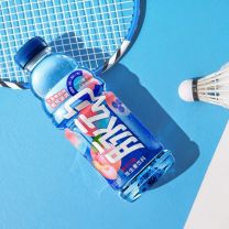 贝王优选达能脉动运动功能饮料水蜜桃味600ml*15瓶